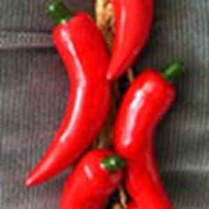 NEW Vintage Ceramic Chiles